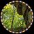 Ann Forstrom's profile image