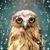 Brie Beazley's profile image