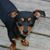 G. Robert Weedon's profile image