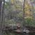 Donna Snyder Federoff's profile image