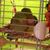 Patricia Martin's profile image