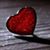 Alison Garrison's profile image