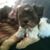 Barbara Miller's profile image