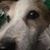 Pamela Anonsen's profile image