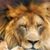 Garry Laugerude's profile image