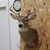 Jeremy Lee Johnson's profile image