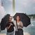Jackie DesLauriers's profile image