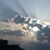 Joann Atkins's profile image
