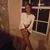 Karlie Ross Defreitas's profile image