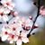 Ann Gossett's profile image