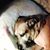 Kathy Erickson's profile image