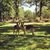 Rhonda Russell Huckaby's profile image