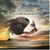 Linda Porter's profile image