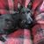 Nona Rogero's profile image