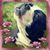 Kim Galvin's profile image