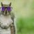 Brian Haile's profile image