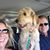 Sara Shaw Dougherty's profile image