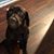 Micki Morton Sloan's profile image
