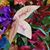 Teresita Hannon Nowak's profile image