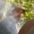 Josh Velazquez's profile image