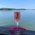 Traci Willingham Gagnon's profile image