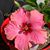 Laurie Koelling's profile image