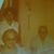 Sue Naglestad's profile image