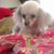 Tammy Kemmit's profile image