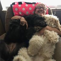 Wendie Kleider Redman's profile image