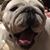 Lynn Sims Rogers's profile image