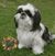 Marcia Arboleda's profile image