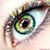 Bonnie Hundley Zornes's profile image