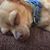 Teresa Schuessler's profile image