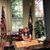 Twila Morris's profile image