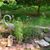 Randy-Maria Heiston's profile image