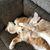 Dawn Driscoll Haase's profile image