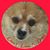 Andrea K. Smith's profile image