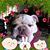 Jenny Vliet's profile image