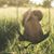 Jody Buffington Aud's profile image