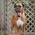 Melissa Egenlauf's profile image