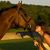 Taryn Collins's profile image