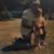 Kerri Goodwin's profile image