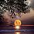 Michele Pennington's profile image