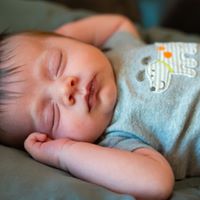 Alicia Netzer's profile image