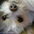 Virginia Kachelmeier's profile image