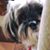 Joyce Kuhn's profile image