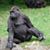 Carlos Moran's profile image