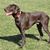 Amy Baker's profile image