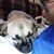 Bill Shroyer's profile image