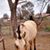 Facu Fulgenzi's profile image
